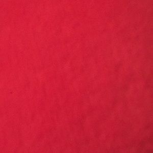 Meet your Posher, Nedra